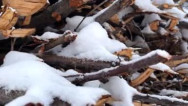 寒冷天气木材雪地视频的预览图